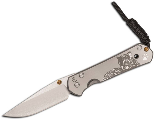 Складной нож Chris Reeve Large Sebenza 21 фото 3 Складной нож Chris Reeve Large Sebenza 21 фото 3